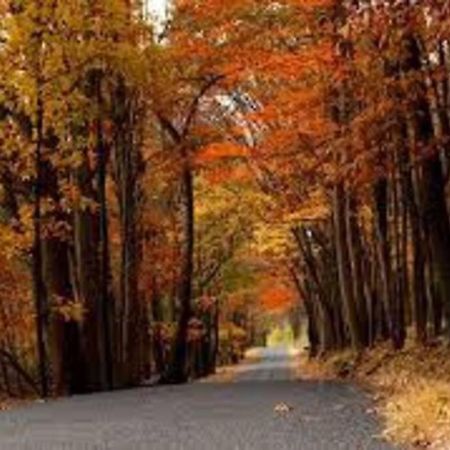 Small Town Hideaway Wyalusing ภายนอก รูปภาพ
