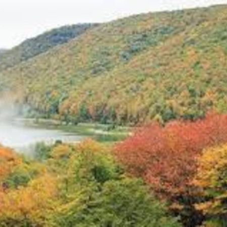 Small Town Hideaway Wyalusing ภายนอก รูปภาพ