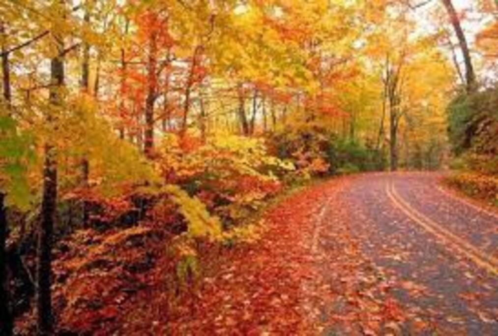 Small Town Hideaway Wyalusing ภายนอก รูปภาพ