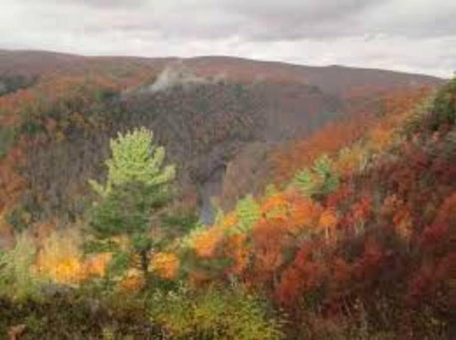 Small Town Hideaway Wyalusing ภายนอก รูปภาพ